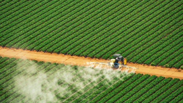 Best Wasp Removal Services  in Cataula, GA
