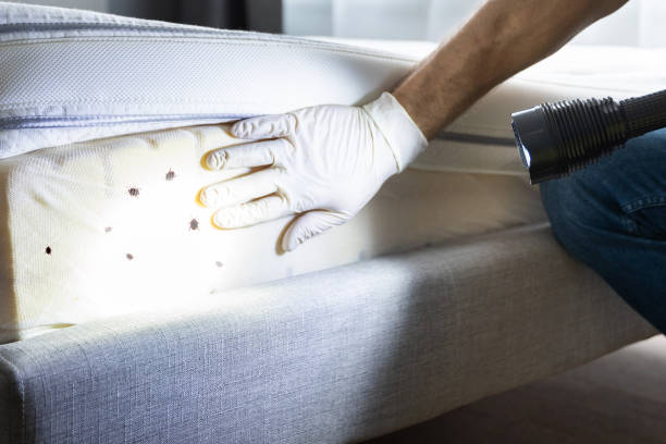 Best Flea Control Services  in Cataula, GA