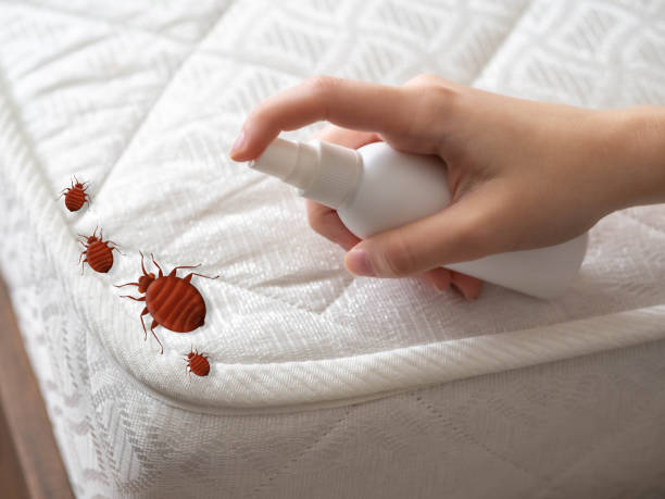 Best Commercial Pest Control Services  in Cataula, GA