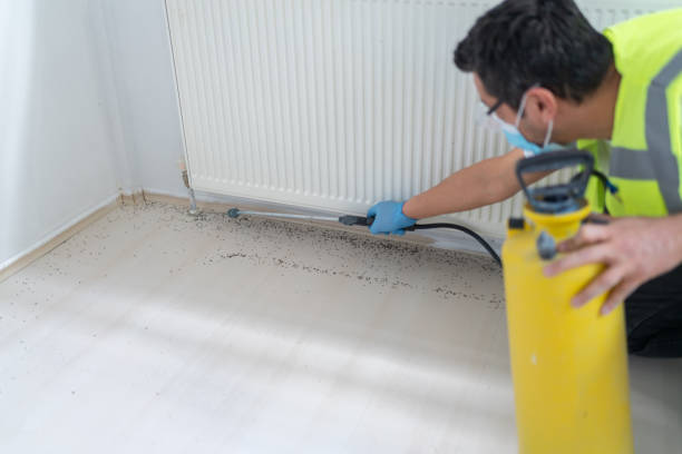 Best Pest Control for Businesses  in Cataula, GA