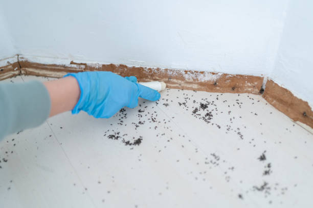 Best Pest Removal Services  in Cataula, GA