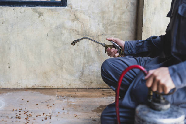 Best Pest Prevention Services  in Cataula, GA